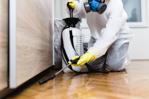 Best Pest Prevention Services  in Fort Stewart, GA