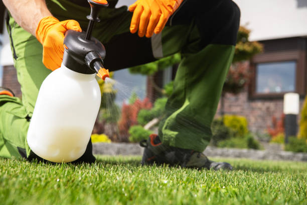 Professional Pest Control in Fort Stewart, GA