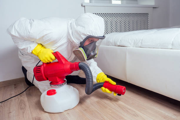 Best Mosquito Control Services  in Fort Stewart, GA