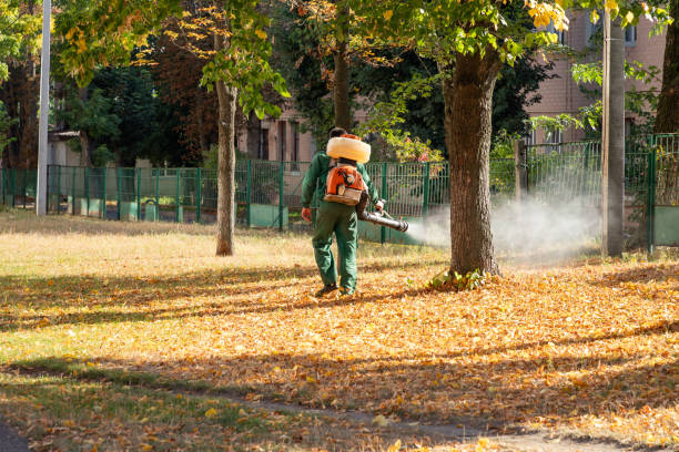 Reliable Fort Stewart, GA Pest Control Solutions