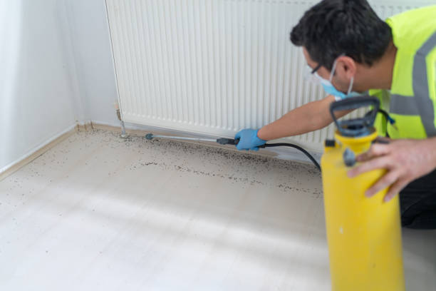 Best Local Pest Control Services  in Fort Stewart, GA